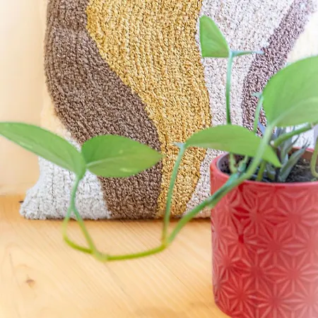 Au Pied Du Chateau, Le Grand Fux Apartment *