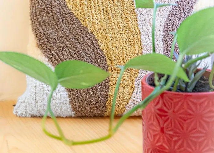 Au Pied Du Chateau, Le Grand Fux Апартаменты *